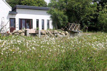 Cottage & Wildflower meadow